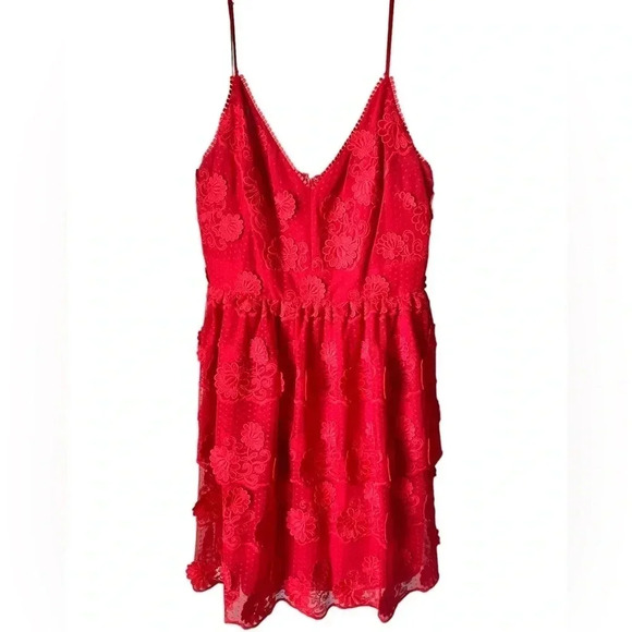 ANTHRO’ MONIQUE LHUILLIER | Red Floral Appliqué Tiered Lace Bella Dress Size 12 - Picture 4 of 10